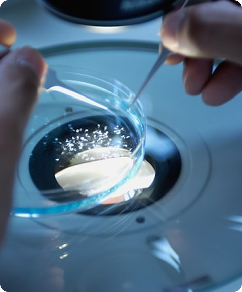 Photo Industrie R&D & Université